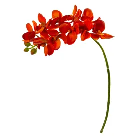 21" Artificial Phalaenopsis Orchid (Set of 6) - Low Maintenance, Life-Like & Vibrant Silk Flowers For Busy People.
