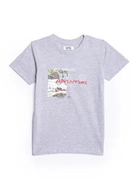 Cantabil Boys Grey Round Neck T-Shirt