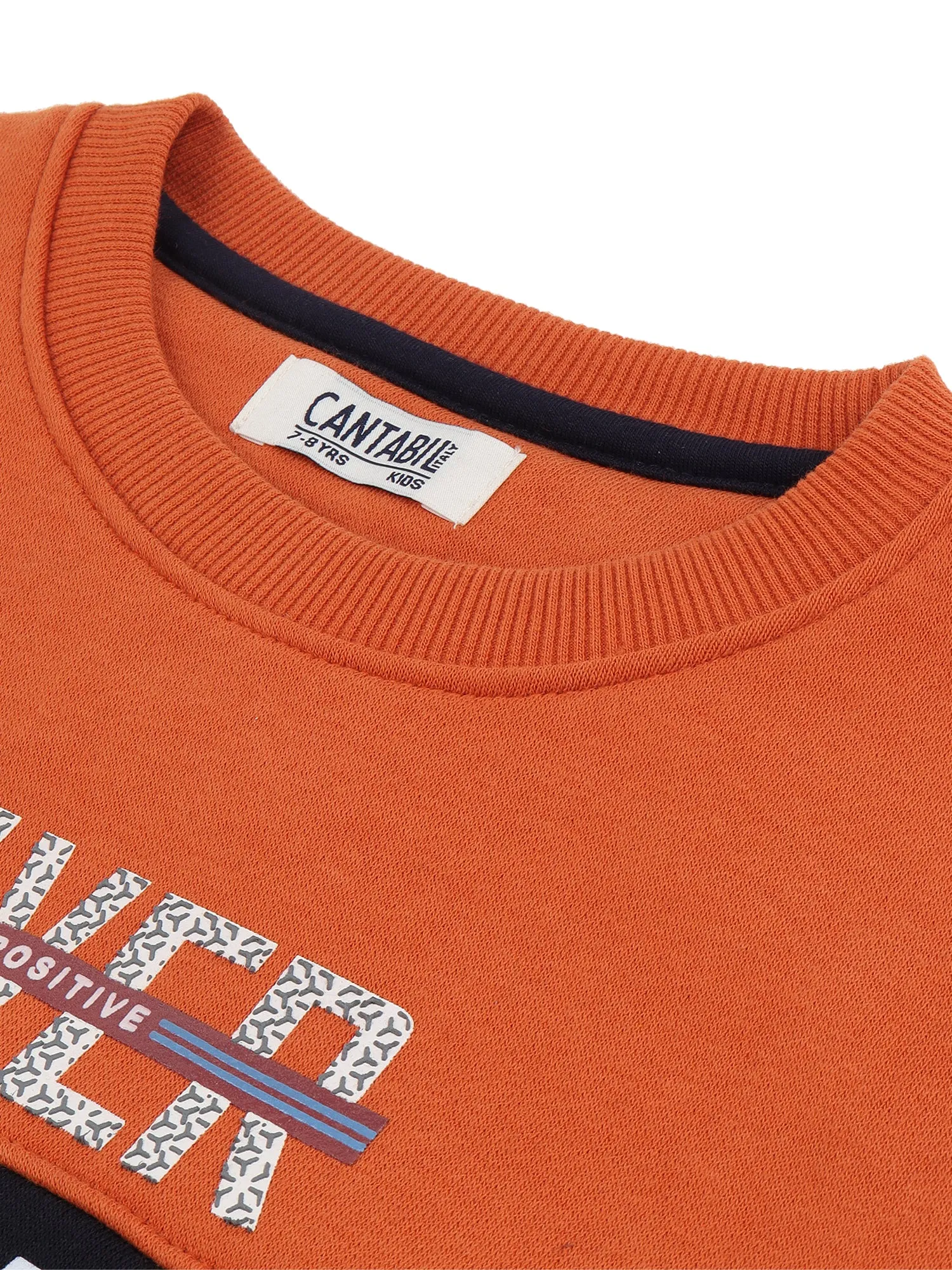 Cantabil Boys Rust Sweatshirt