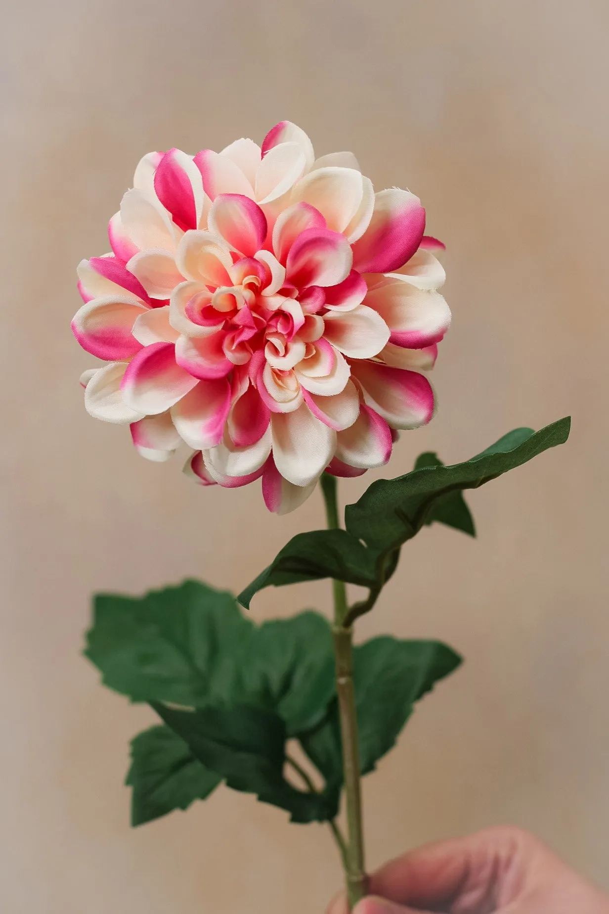 Faux Raspberry Ripple Dahlia Stem