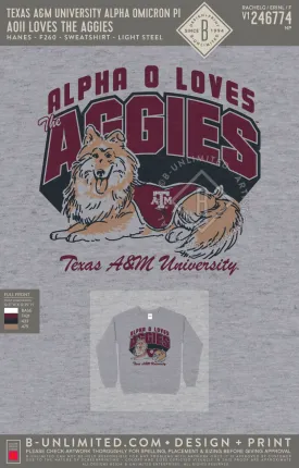 Texas A&M University Alpha Omicron Pi - AOII Loves the Aggies - Hanes - F260 - Sweatshirt - Light Steel